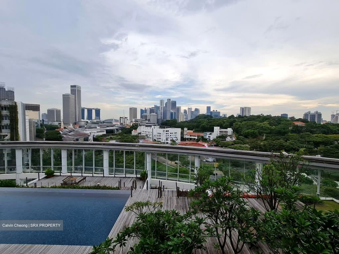 The Cathay Residence (D9), Apartment #537758381
